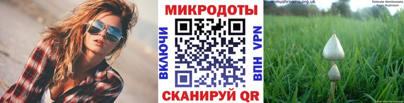 где найти наркотики  Богучар  Псилоцибиновые грибы мицелий 